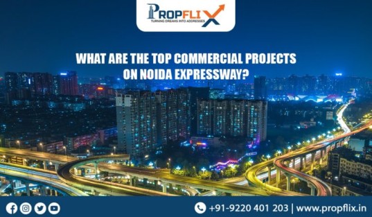 What Are The Top Commercial Project in Noida
