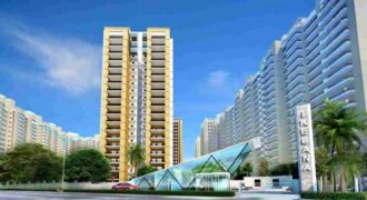 Gulshan Ikebana Resale