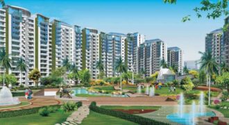 Supertech Ecociti Resale