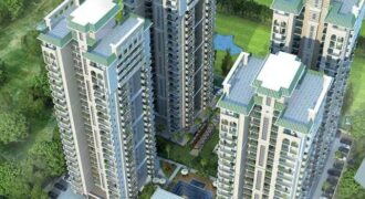 Dev Sai Sportshome Resale Dev Sai Sportshome Resale