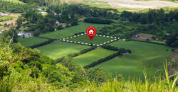 Yeida Sector 18 Noida Plot for Sale