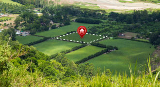 Yeida Sector 18 Noida Plot for Sale